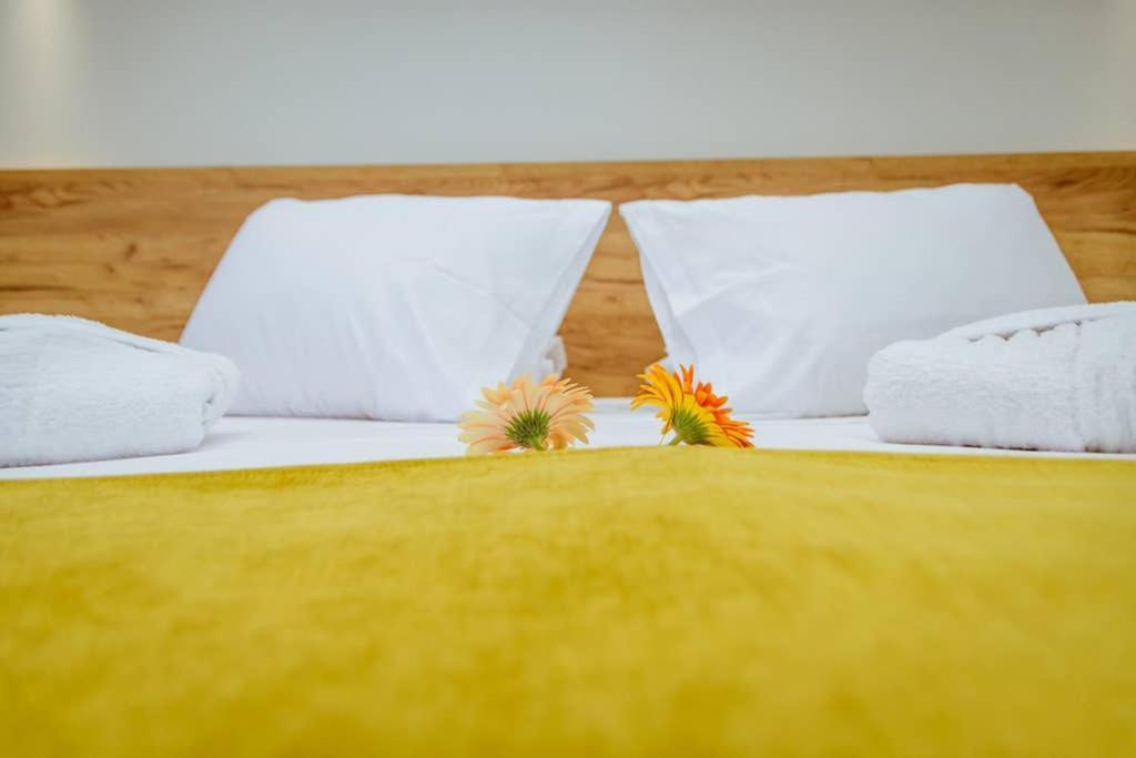 Iliovasilema Apartments Elafoníszi Kültér fotó
